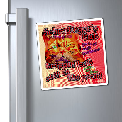 schrodinger's cat - Magnets - (yellow-orange wave)