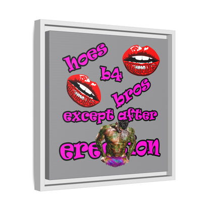 hoes b4 bros - framed canvas art (grey)