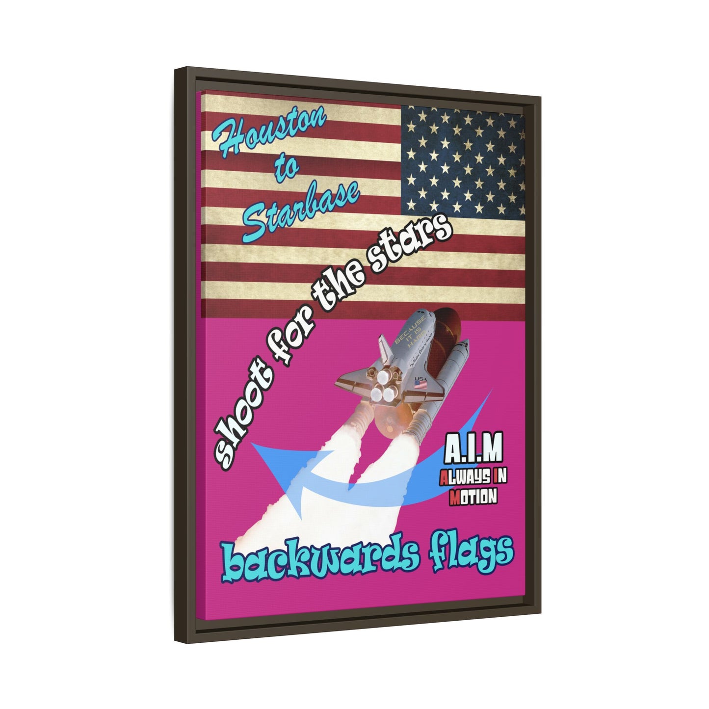 shoot for the stars - framed canvas art (pink)