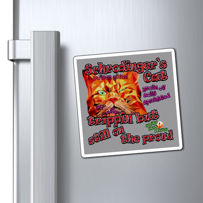 schrodinger's cat - Magnets - (grey)