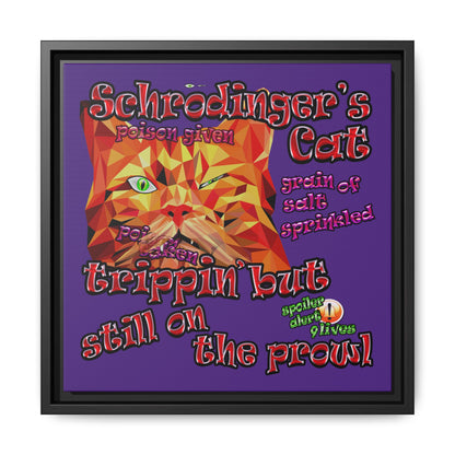 schrodinger's cat - framed canvas art (purple)