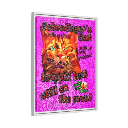 schrodinger's cat - framed canvas art (pink swirl)
