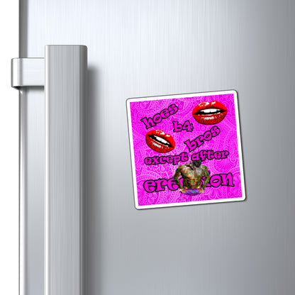 hoes b4 bros - Magnets - (pink swirl)