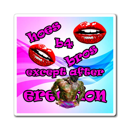 hoes b4 bros - Magnets - (light blue-pink wave)