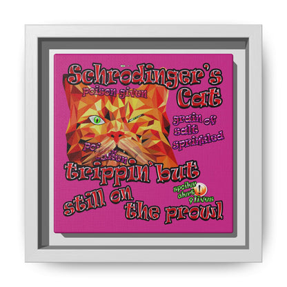 schrodinger's cat - framed canvas art (pink)