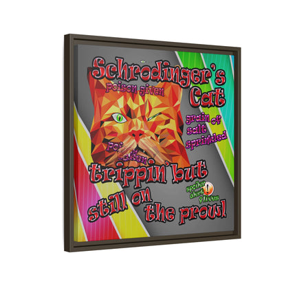 schrodinger's cat - framed canvas art (rainbow split)