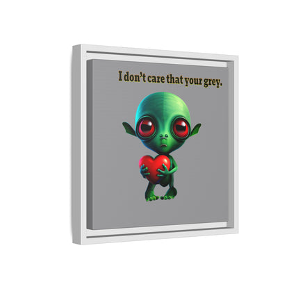 I don't care that your grey - framed canvas art (grey)