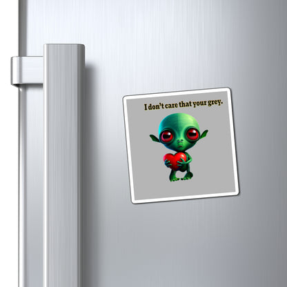I don't care that your grey - Magnets - (light grey)