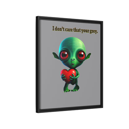 I don't care that your grey - framed canvas art (grey)