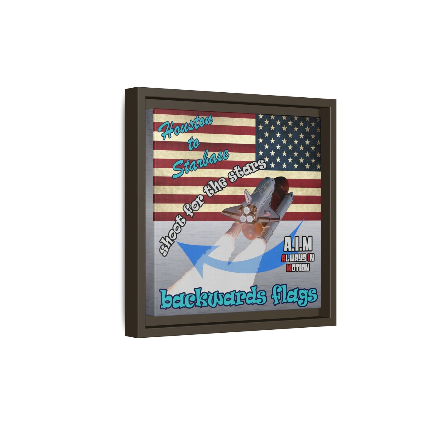 shoot for the stars - framed canvas art (brushed nickel)