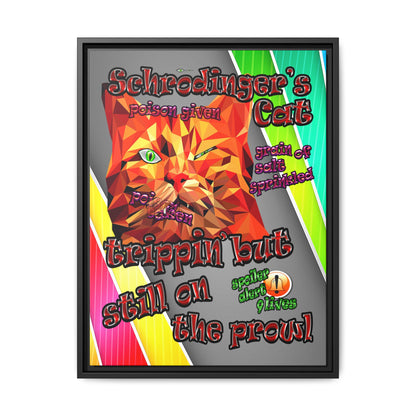 schrodinger's cat - framed canvas art (rainbow split)