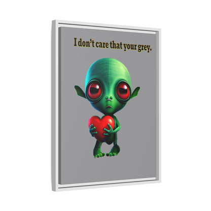 I don't care that your grey - framed canvas art (grey)