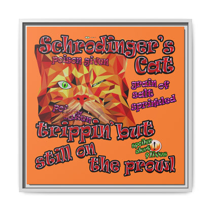 schrodinger's cat - framed canvas art (crusta)