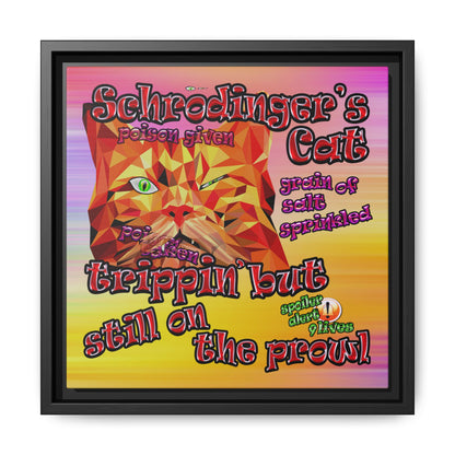 schrodinger's cat - framed canvas art (color blur)