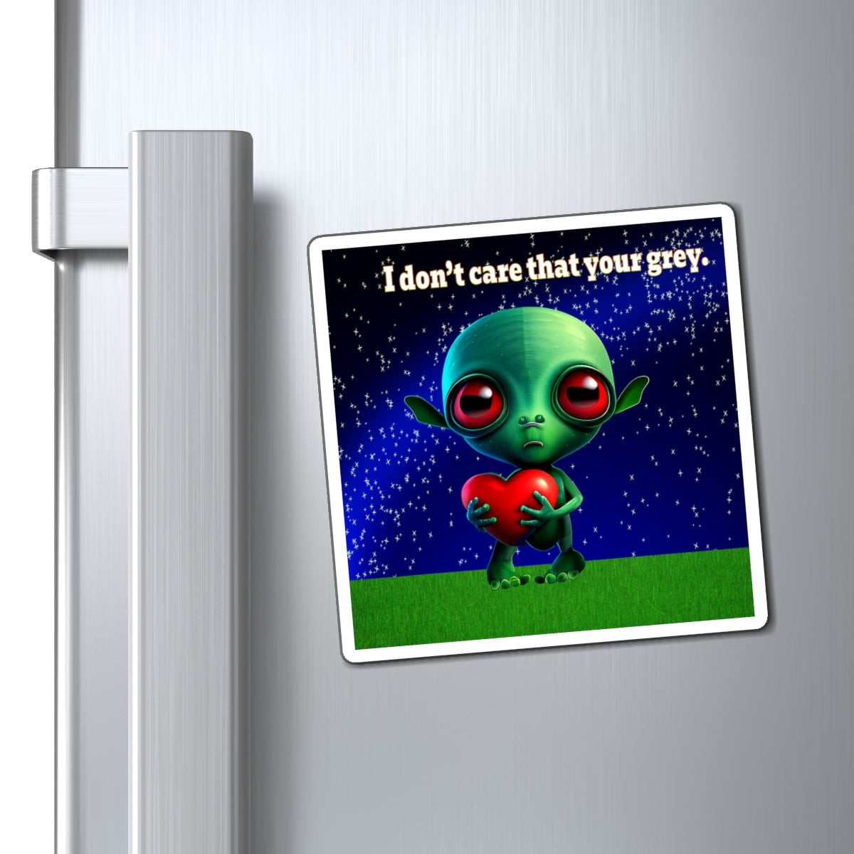 I don't care that your grey - Magnets - ('snoops' background)