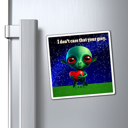 I don't care that your grey - Magnets - ('snoops' background)