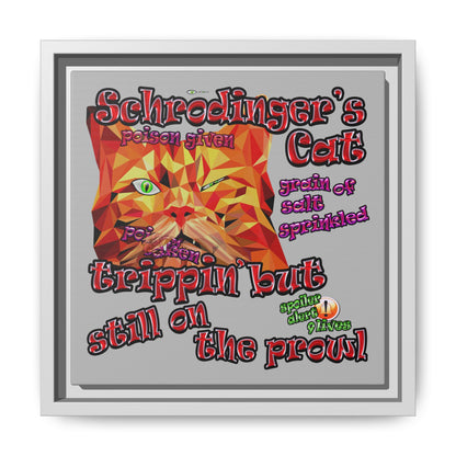 schrodinger's cat - framed canvas art (light grey)