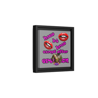 hoes b4 bros - framed canvas art (grey)