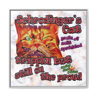 schrodinger's cat - framed canvas art (white marble)