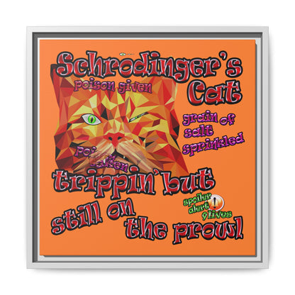 schrodinger's cat - framed canvas art (crusta)