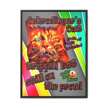 schrodinger's cat - framed canvas art (rainbow split)
