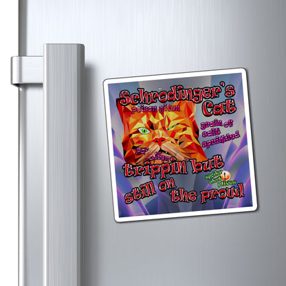 schrodinger's cat - Magnets - (grey-pink wave)