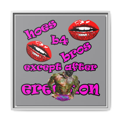 hoes b4 bros - framed canvas art (grey)