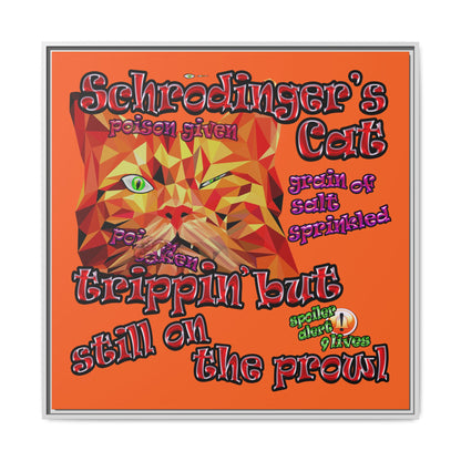 schrodinger's cat - framed canvas art (orange)