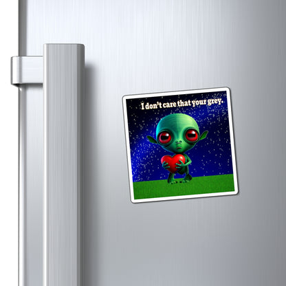 I don't care that your grey - Magnets - ('snoops' background)