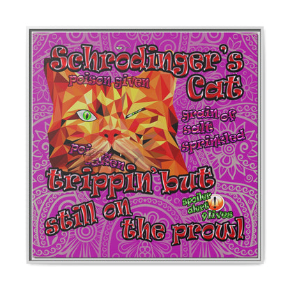schrodinger's cat - framed canvas art (pink swirl)