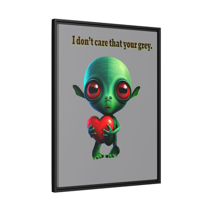 I don't care that your grey - framed canvas art (grey)