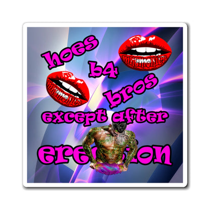 hoes b4 bros - Magnets - (grey-pink wave)