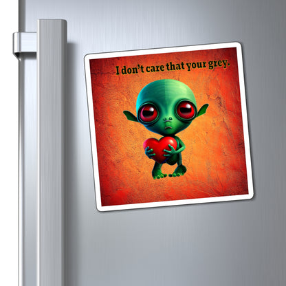I don't care that your grey - Magnets - (burnt orange)