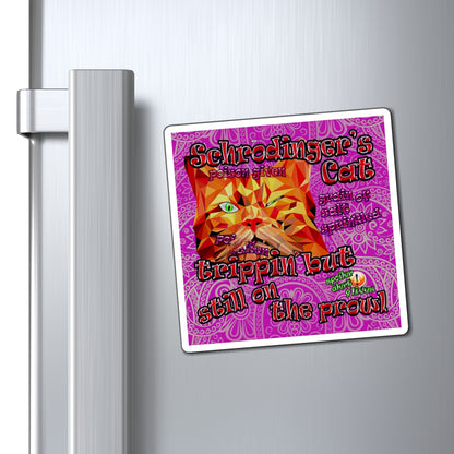 schrodinger's cat - Magnets - (pink swirl)