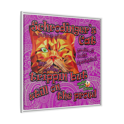 schrodinger's cat - framed canvas art (pink swirl)