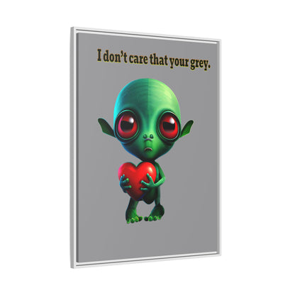 I don't care that your grey - framed canvas art (grey)