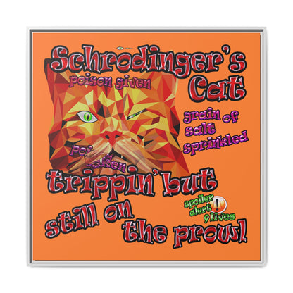 schrodinger's cat - framed canvas art (crusta)