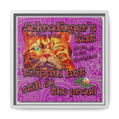 schrodinger's cat - framed canvas art (pink swirl)
