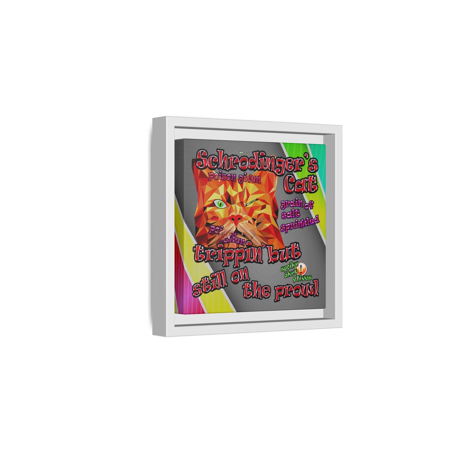 schrodinger's cat - framed canvas art (rainbow split)