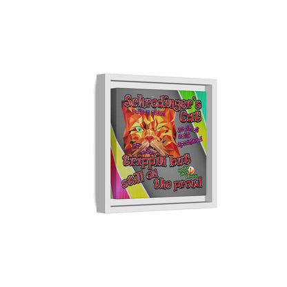 schrodinger's cat - framed canvas art (rainbow split)