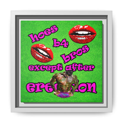 hoes b4 bros - framed canvas art (green turf)