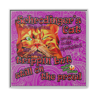 schrodinger's cat - framed canvas art (pink swirl)
