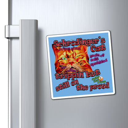 schrodinger's cat - Magnets - (light blue)