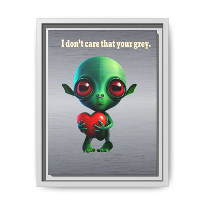I don't care that your grey - framed canvas art (brushed nickel)