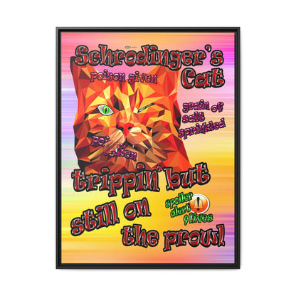 schrodinger's cat - framed canvas art (color blur)