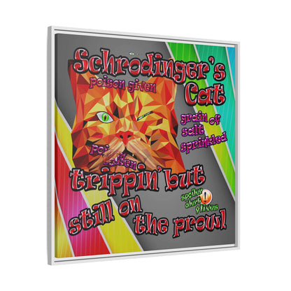 schrodinger's cat - framed canvas art (rainbow split)