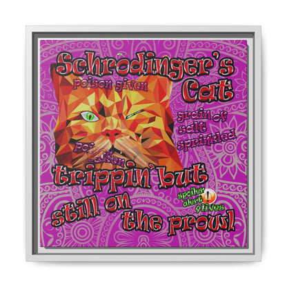 schrodinger's cat - framed canvas art (pink swirl)