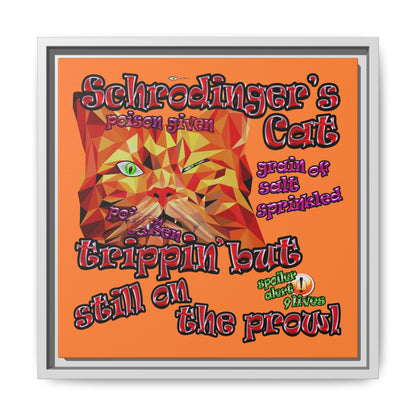 schrodinger's cat - framed canvas art (crusta)