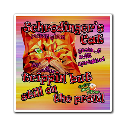 schrodinger's cat - Magnets - (color blur)