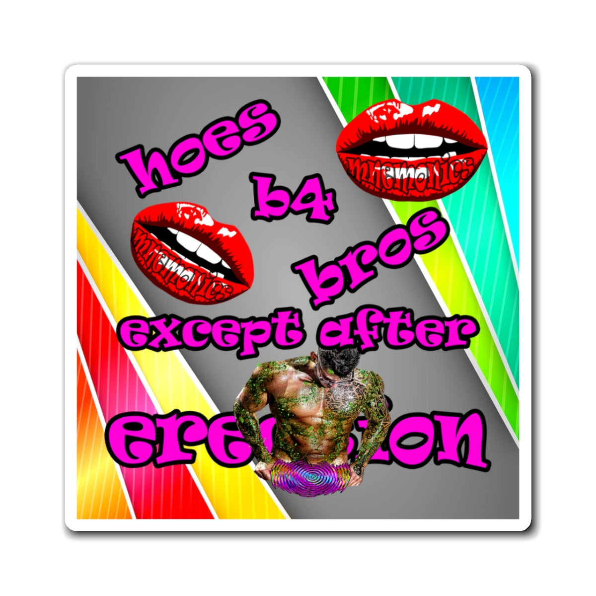 hoes b4 bros - Magnets - (rainbow split)